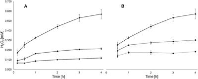 Proteomics Reveal Enhanced Oxidative Stress Responses and Metabolic Adaptation in <mark class="highlighted">Acidithiobacillus ferrooxidans</mark> Biofilm Cells on Pyrite